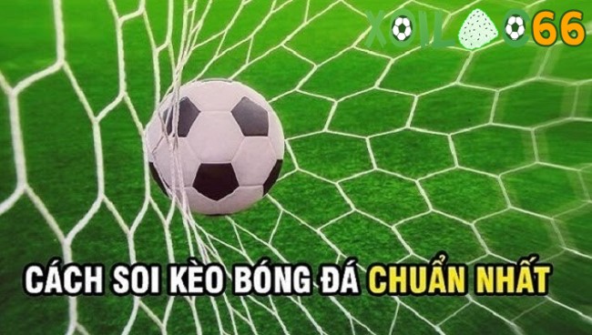 Cách soi kèo cực chuẩn