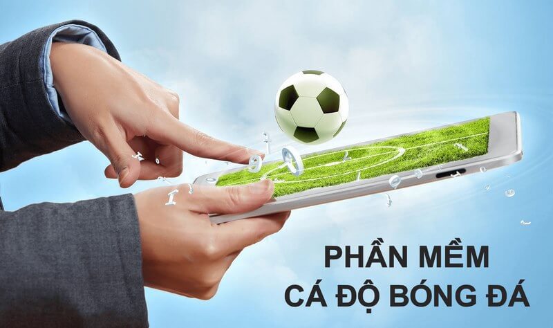 phần mềm cá độ bóng đá ảnh đại diện