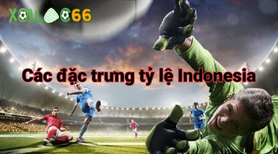 Các đặc trưng tỷ lệ Indonesia