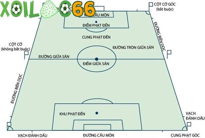 Các thành phần của sân bóng đá 11 người