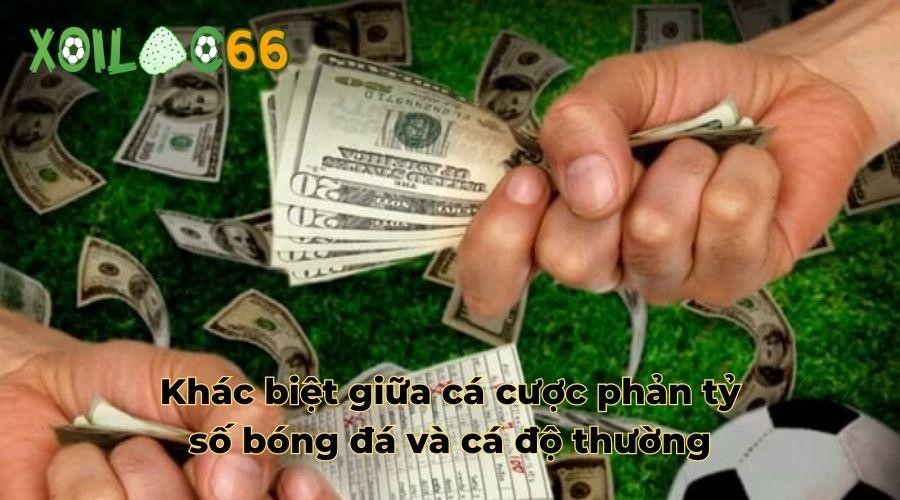 Khác biệt giữa cá cược phản tỷ số bóng đá và cá độ thường