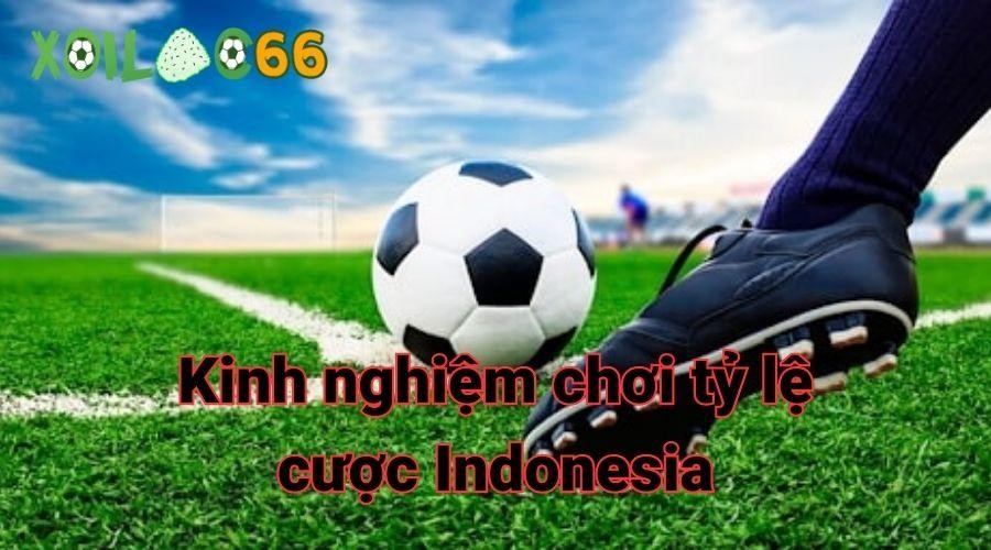 Kinh nghiệm chơi tỷ lệ cược Indonesia